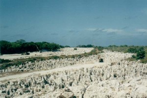 Campos de fosfatos de Nauru